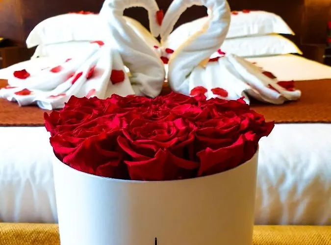 드 베르니 안토니